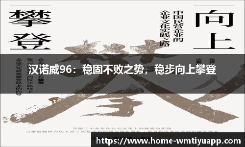 汉诺威96:稳固不败之势,稳步向上攀登